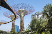 Holiday Singapore and Thailand, August 2015