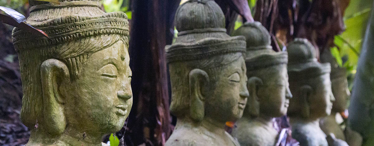 Chiang Mai en de geheime jungle tempel