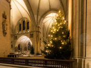 Kerstsfeer in St. Paulus-Dom