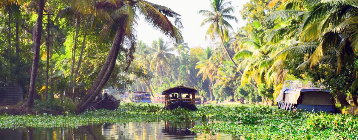 Een rondvaart door de Kerala Backwaters